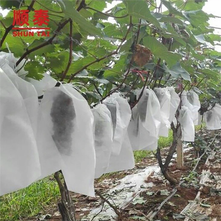 Fruit cover agricultural non-woven fabrics