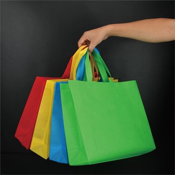 Non Woven Carry Bag